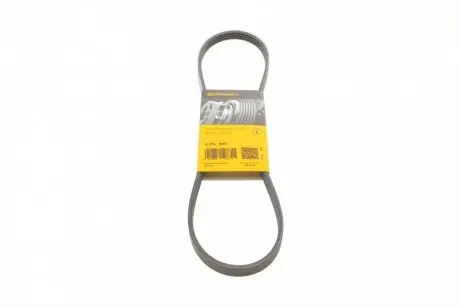 Ремінь генератора Honda CR-V 2.0 16V 4WD 95-02/Subaru Forester/Impreza/Legacy 1.5-2.5 92-09 CONTINENTAL 4PK895