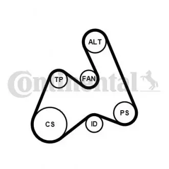 Комплект ГРМ Audi:A4 A5 A6 C6 CONTINENTAL 5PK1592WP1