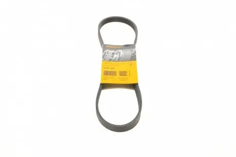 Ремінь генератора Renault Kangoo 1.2i 97-/Subaru Impreza 2.0 05-07/Nissan Pathfinder 4.0 05- CONTINENTAL 5PK875