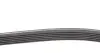 Комплект ременя генератора Audi A3/Seat Leon/Skoda Octavia/VW Caddy 1.4-2.0LPG 95-15, (6DPK 1195) CONTINENTAL 6DPK1195K1 (фото 2)