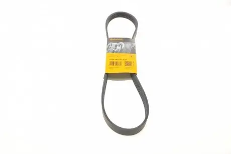 Ремінь генератора Ford Fiesta/Focus CONTINENTAL 6PK1019 ELAST