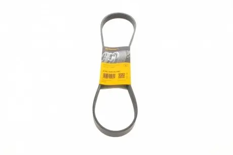 Ремінь генератора Ford Fiesta VI 1.25-1.6Ti 08- CONTINENTAL 6PK1033 ELAST
