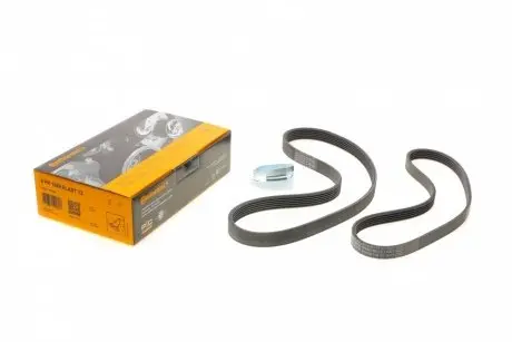 Ремінь генератора Ford Focus 1.4/1.6i 03-/Volvo C30/S40/V50 1.6 05-12 (6PK1059 ELAST+5PK868 ELAST) CONTINENTAL 6PK1059 ELAST T2