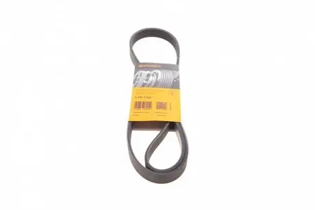 Ремінь генератора Citroen Jumper/Peugeot Boxer 3.0HDI CONTINENTAL 6PK1165