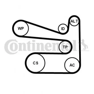 Комплект поликлинового ремня с натяжителем AUDI A1, A3; SEAT ALTEA, ALTEA XL, IBIZA IV, IBIZA IV SC, IBIZA IV ST, LEON, TOLEDO IV; SKODA FABIA II, OCTAVIA II, RAPID, ROOMSTER 1.2 11.08-05.22 CONTINENTAL 6PK1693K1