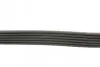Ремінь генератора поліклиновий CONTINENTAL 6PK691 ELAST (фото 2)