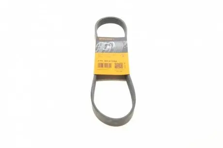 Ремінь поліклиновий CONTINENTAL 6PK802EXTRA
