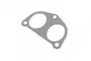 Прокладка впускного коллектора Fiat Scudo/Peugeot Expert 1.9D 98-06 (к-кт) CORTECO 026460H (фото 2)