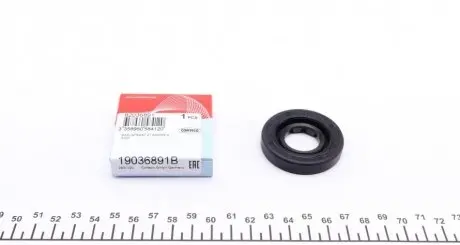 Сальник КПП FORD Fiesta VI 2008 - CORTECO 19036891B