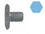 Болт зливу оливи Citroen Berlingo/Peugeot Partner 1.6HDI/1.9D/2.0HDI 98- 220054H