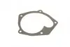 Комплект прокладок (повний) Renault Kangoo 1.9 dCi 97- (без прокладки ГБЦ) CORTECO 430659P (фото 11)
