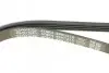 Ремінь генератора Audi A4/A6 2.5TDI 00-05/ Peugeot J5 1.9-2.5 TD 90-94 DAYCO 4PK1215 (фото 4)