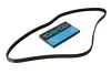 Ремень генератора Toyota Land Cruiser 100 4.2 TD 98-07 DAYCO 4PK1720 (фото 1)