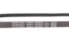 Ремінь генератора Renault Kangoo 1.2i 01- (-AC)/Fiat Scudo 1.6i (+AC) DAYCO 4PK905 (фото 4)