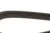 Ремень генератора Mazda 626 1.8i 92-97 DAYCO 5PK1025 (фото 3)