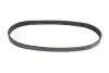Ремінь генератора Ford Fusion 1.4/1.6i 02-12 DAYCO 5PK690EE (фото 4)
