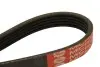 Ремень генератора BMW 3/5 90-00 / Ford Focus 2.5 05-12 DAYCO 5PK890 (фото 2)