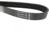 Ремень генератора VW Caddy 1.9D/SDI-03 (WP,TP) DAYCO 6PK1035 (фото 2)