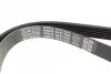 Ремень генератора VW Caddy 1.9D/SDI-03 (WP,TP) DAYCO 6PK1035 (фото 3)