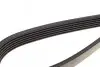 Ремень генератора VW Caddy 1.9D/SDI-03 (WP,TP) DAYCO 6PK1035 (фото 4)