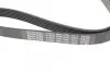 Ремень генератора Lexus RX 03-08 DAYCO 6PK1040 (фото 4)