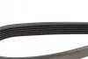 Ремень генератора Citroen Jumper/Peugeot Boxer 3.0HDI DAYCO 6PK1165 (фото 3)