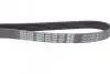 Ремінь генератора VW Golf IV 2.3-3.2 i 99-05(1260mm) DAYCO 6PK1260 (фото 2)