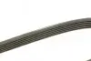 Ремінь генератора Ford Scorpio 2.9 94-98/Opel Zafira 1.9 CDTI 05- DAYCO 6PK1381 (фото 2)