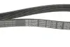 Ремень генератора Citroen Berlingo/Fiat Scudo 1.9D (1868) DAYCO 6PK1435 (фото 2)
