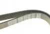 Ремінь генератора Fiat Scudo/Citroen Berlingo/VW Golf IV 1.8/1.9TDI 97- DAYCO 6PK1660 (фото 4)