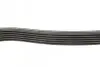 Ремень генератора Citroen Jumper 1.9TD 94-02 (ALT,PS,AC) DAYCO 6PK1705 (фото 2)