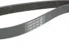 Ремень генератора Citroen Jumper 1.9TD 94-02 (ALT,PS,AC) DAYCO 6PK1705 (фото 3)