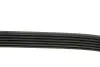 Ремінь генератора MB C-class (W203) 00-02 DAYCO 6PK2135 (фото 3)
