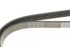Ремень генератора MB Sprinter CDI (-AC) (с обводным роликом) DAYCO 6PK2255 (фото 4)