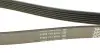 Ремень генератора MB Sprinter CDI (-AC) (с обводным роликом) DAYCO 6PK2263 (фото 4)