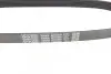 Ремінь генератора Citroen C1/Peugeot 107/Toyota Aygo 1.0 i 05-14 DAYCO 6PK850 (фото 4)