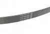 Ремень генератора Citroen Jumper/Peugeot Boxer 2.5D/TDI 94-02 AC/2.5D-95 DAYCO 6PK915 (фото 3)