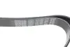 Ремень генератора Toyota Rav 4 2/0 4WD 00- DAYCO 7PK1595 (фото 3)