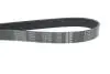 Ремень генератора VW Touareg 4.2 V8 02-06 DAYCO 7PK2365 (фото 4)