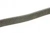 Ремінь генератора MB S-class (W140) 91-98 DAYCO 8PK2465 (фото 2)