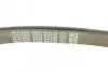 Ремінь генератора MB S-class (W140) 91-98 DAYCO 8PK2465 (фото 4)