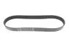 Ремінь генератора Land Rover Discovery 4.4 04-09/Range Rover 4.4 05-13 DAYCO 8PK848 (фото 1)