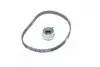 Комплект ГРМ Hyundai Getz/Kia Picanto 1.0/1.1i 02- (20x101z) DAYCO KTB506 (фото 4)