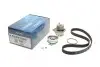 Комплект ГРМ + насос Audi A3/A4/Skoda Octavia/VW Caddy III/Golf IV/V/Passat/Touran 1.6 95- (23x138z) KTBWP2530