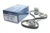 Комплект ГРМ + насос Skoda Octavia/VW Golf IV 1.9 TDI/SDI 96-05 (25x141z) DAYCO KTBWP4290 (фото 2)