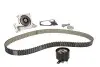 Комплект ГРМ + помпа Renault Clio/Kangoo/Megane/Scenic/Dacia Dokker/Duster/Logan 1.5dCi 08-(27x119z) DAYCO KTBWP8860 (фото 1)