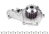 Комплект ГРМ + насос Citroen Berlingo/Peugeot Partner 1.6HDI (z=137) DAYCO KTBWP9140K (фото 10)