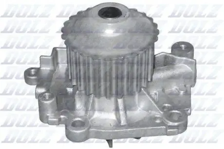Насос водяной DOLZ R301
