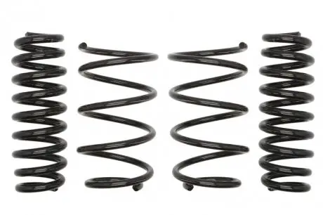 Комплект пружин (Pro-Kit) BMW 3 (E90) 04-11 (4 шт.) EIBACH E10-20-014-01-22 (фото 1)