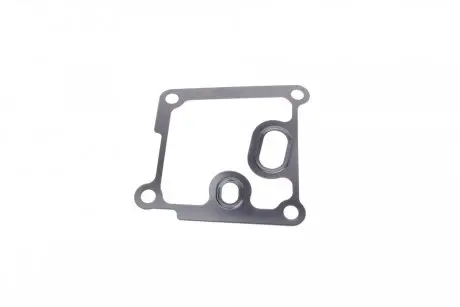 Прокладка корпуса масляного фильтра Ford Connect 1.8Di 02- ELRING 027.191